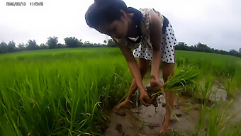 魅力的なアジア人女性が水田にいます。